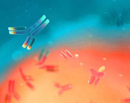 Bioanalytical Characterization
