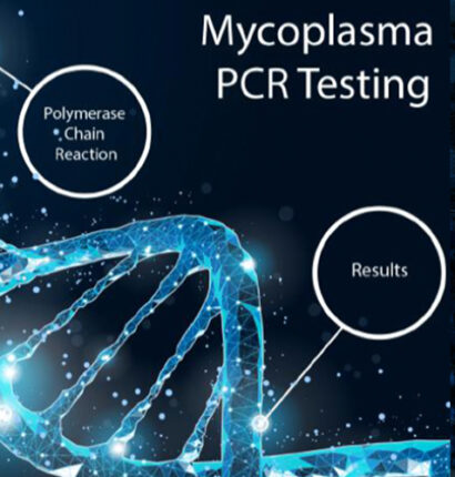 Application of a PCR Workflow for Sensitive and Specific Mycoplasma Detection in Biologics