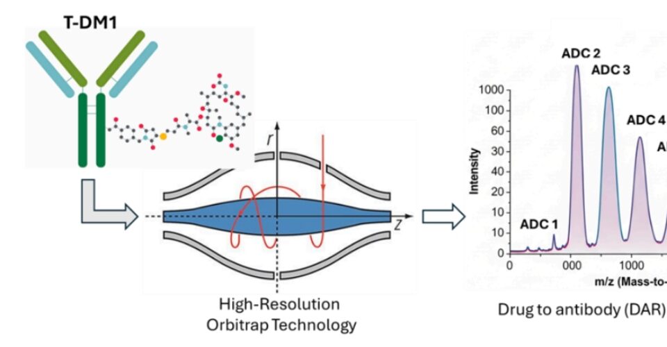Characterization of Antibody Drug Conjugate (ADC) Payloads Using High-Resolution Mass Spectrometry